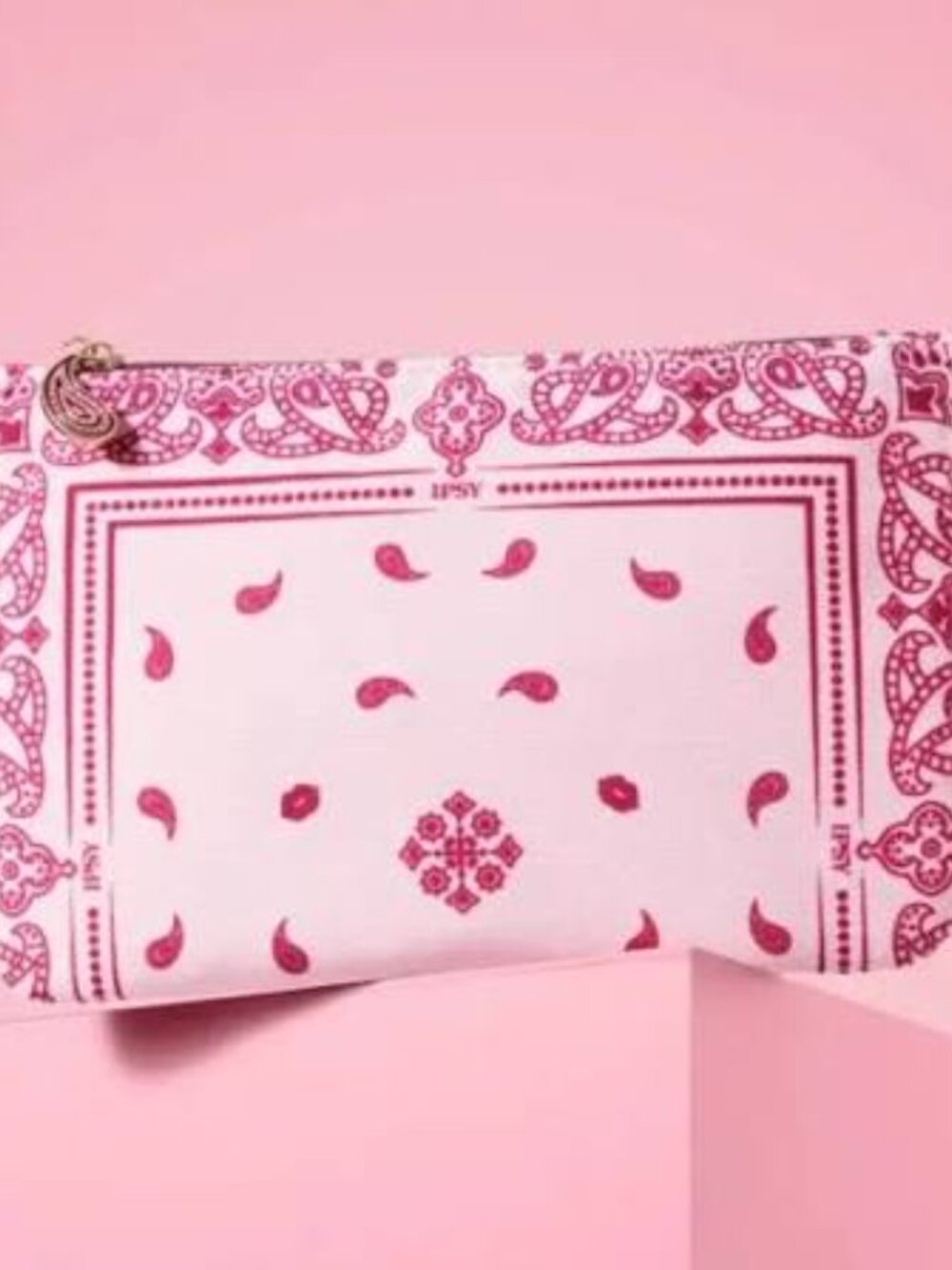 New Ipsy Paisley pink bag Very 90s